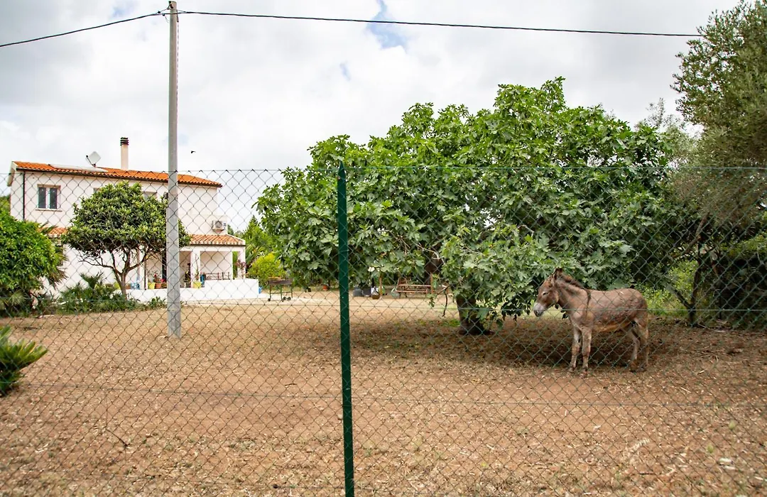 Villa del Lupo-1