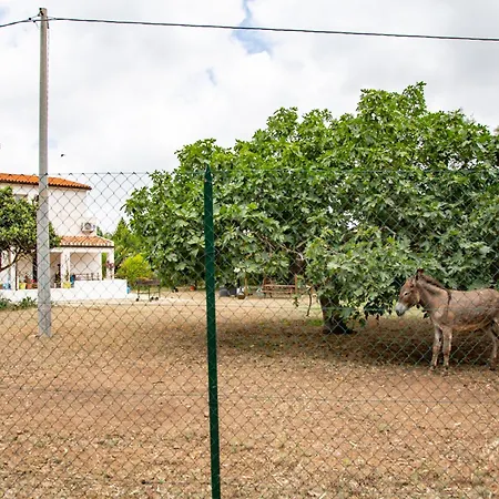 Villa del Lupo-2